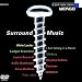 Surround Music [DVD Audio]