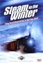Steam in the WInter