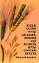Field Guide to the Grasses, Sedges, and Rushes of the United States