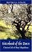 Book Sisterhood of the Dove: Clarion Call of Mary Magdalene