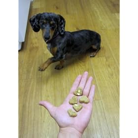 Newman's Own Organics Dog Treats for Dogs