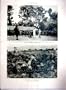 Bamilere View Chief Secret Society Kamveu 1937 Print