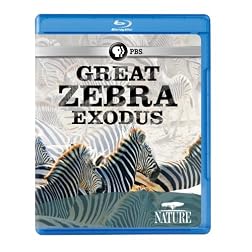 Nature: Great Zebra Exodus [Blu-ray]