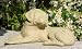 labrador46  - Designer Stone 7603O Labrador Puppy