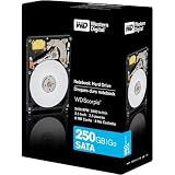 Western Digital 250GB SATA Notebook Hard Drive (Retail package)