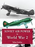 Soviet Air Power in World War 2