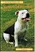 STAFFORDSHIRE BULL TERRIER (Pet Owner's Guide Series)