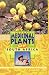 Books : Medicinal Plants of South Africa