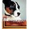 Dogs: Stories for Children - Canvas Dog Studio