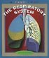 The Respiratory System (A True Book)