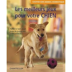 Les meilleurs jeux pour votre chien