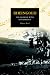 Rheingold - The German Wine Renaissance