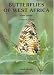 Book Butterflies Of West Africa