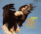  : Birds of Prey and Idaho Power's Efforts to Protect Them (PIN12115M590)