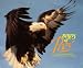 Books : Birds of Prey and Idaho Power's Efforts to Protect Them (PIN12115M590)