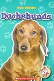 Dachshunds (Blastoff! Readers: Dog Breeds)