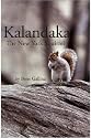Kalandaka, the New York Squirrel