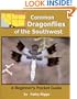 Common Dragonflies of the Southwest
