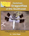 Common Dragonflies of the Southwest