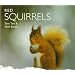 Red Squirrels (Worldlife Library)