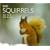 Red Squirrels (Worldlife Library)
