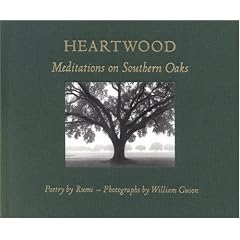 Heartwood: Meditations on Southern Oaks
