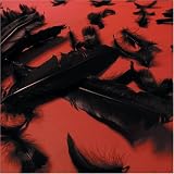 Black Feather Wings