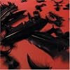 Black Feather Wings