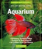 Die 100 besten Tipps Aquarium.