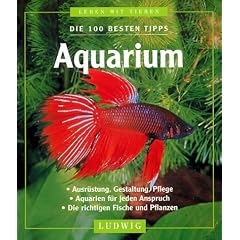 Aquarium