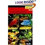 The Cichlid Aquarium