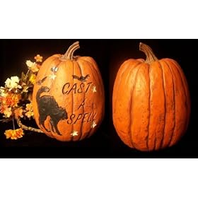 Halloween Black Cat On Pumpkin