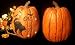 Halloween Black Cat On Pumpkin