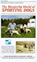The Wonderful World of Sporting Dogs (What Is A Field Trial?) [VHS]