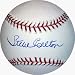 Sporting Goods : Steve Carlton Autographed MLB Baseball