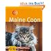 Maine Coon (Tierratgeber)