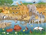 African Animals