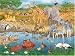 African Animals