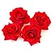DreamLily Rose Flower Hair Clip Flamenco Dancer Pin up Flower Brooch BC10 (Red)