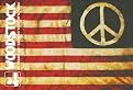 Woodstock: 40 Years On: Back to Yasgur's Farm (Box Set)