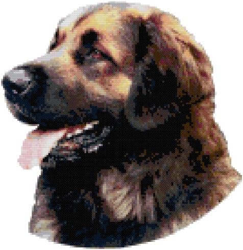 Leonberger Dog Portrait Counted Cross Stitch Pattern