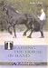 Training the Horse in Hand: The Classical Iberian Principles