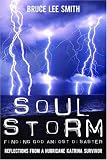 Soul Storm, Finding God Amidst Disaster, Reflections from a Hurricane Katrina Survivor