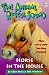 Search : Horse In The House