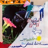 Madeline & The Dead Bird