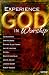 Experiencing God in Worship: Perspectives on the Future of Worship in the Church from Today's Most Prominent Leaders
