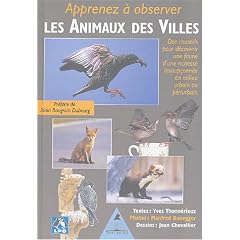 Apprenez � observer les Animaux des Villes