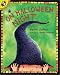 On Halloween Night (Picture Puffins)