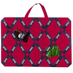 Florida Atlantic University - Ribbon Memo Board