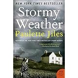 stormy weather a novel